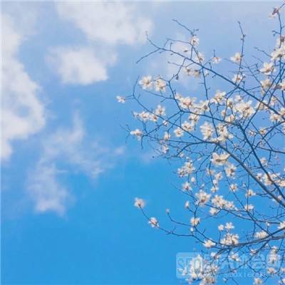 恐龙乐园2游戏(改名恐龙王国)下载
